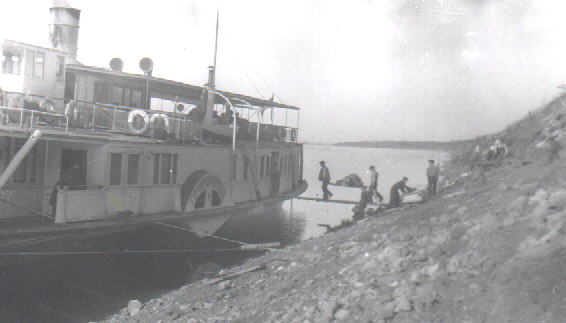 Загрузка дров на пароход на пристани Литвино, 1947 год